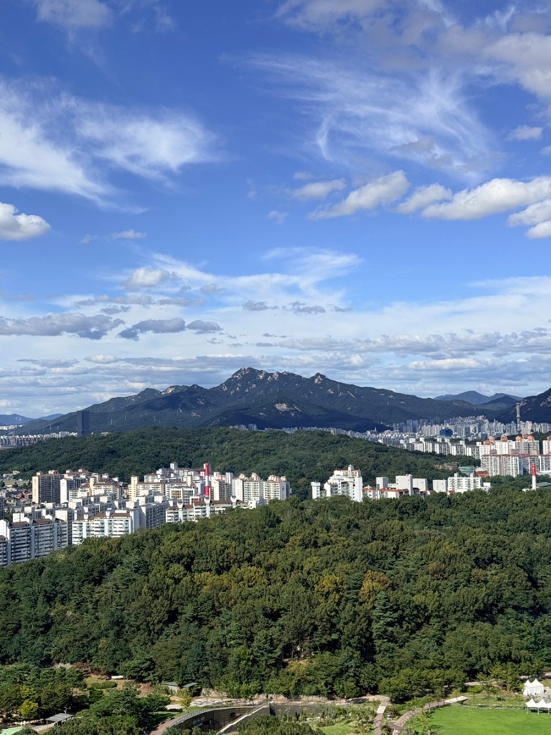 북서울꿈의숲 전망대 후기｜서울 숨겨진 명소 피크닉까지 가능했던 곳