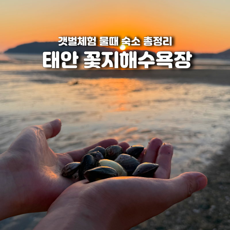 태안 꽃지해수욕장 갯벌체험 물때 준비물 숙소 총정리