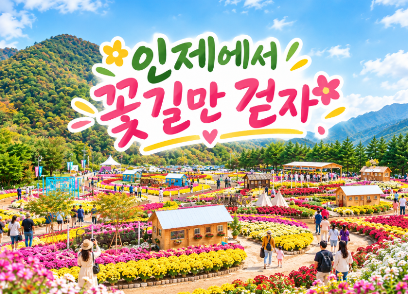 인제가을꽃축제 2026 일정 장소 입장료 총정리 강원도 가을 여행지