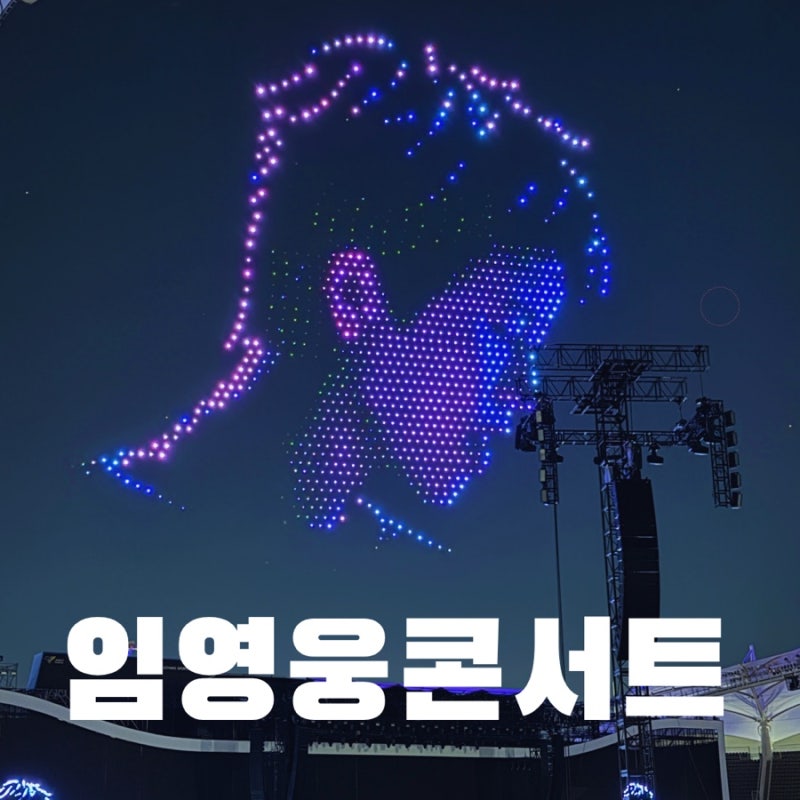 2026 임영웅 고양 콘서트 막콘 후기 70대 엄마와 함께한 감동의 순간