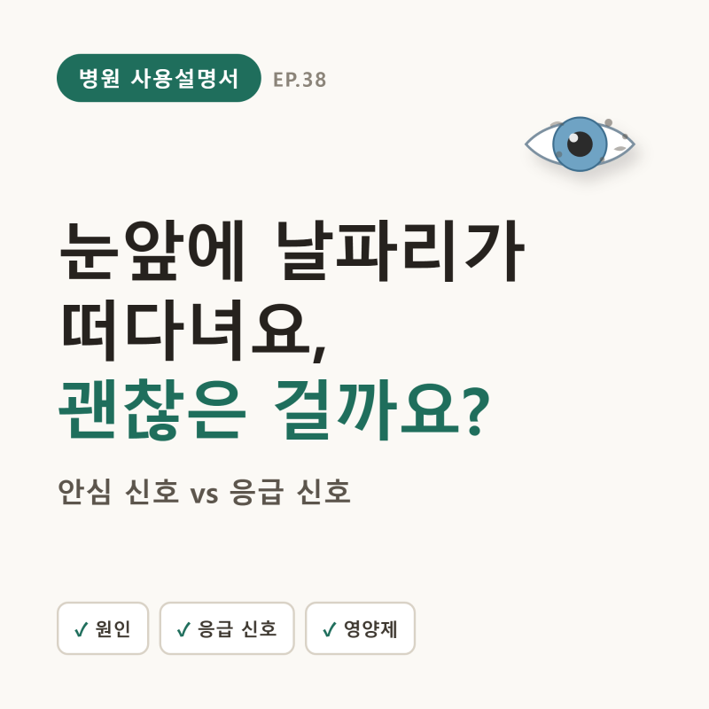 비문증(눈앞 날파리), 대부분 괜찮지만 이 신호는 응급 — 원인·치료·영양제 진실