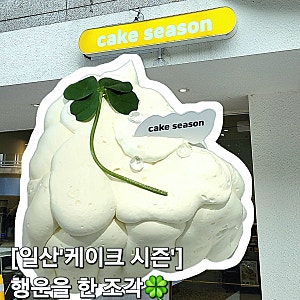 일산 밤리단길 케이크시즌 : 특별한 날 선물하기 좋은 행운 레터링케이크(당일레터링케이크 ....