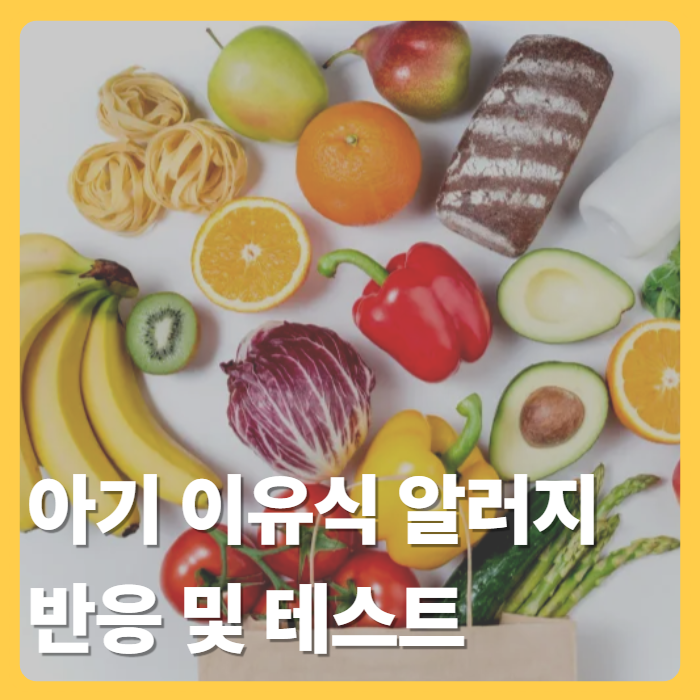 아기 이유식 알러지 반응 및 테스트 순서: 계란·땅콩·생선 음식 알레르기 확인법