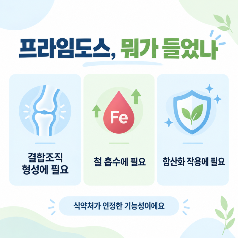다이소에서 5천원짜리 비타민C 2000mg, 진짜 믿을 만할까