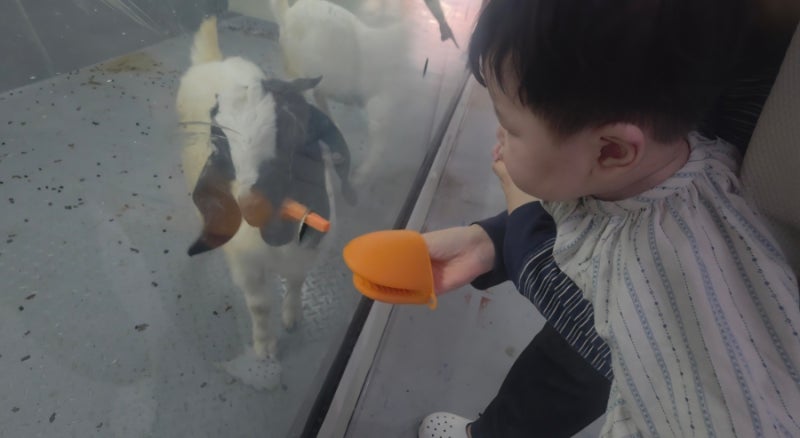 전주 근교 김제 가볼 만한 곳｜단짠 아쿠아 이색체험 카페 아이와 다녀온 솔직 후기