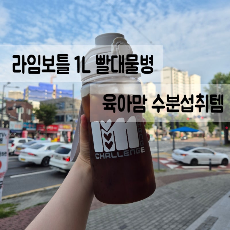 [생활] 라임보틀 트라이탄 빨대물병 후기｜1L 대용량이라 하루종일 편하게
