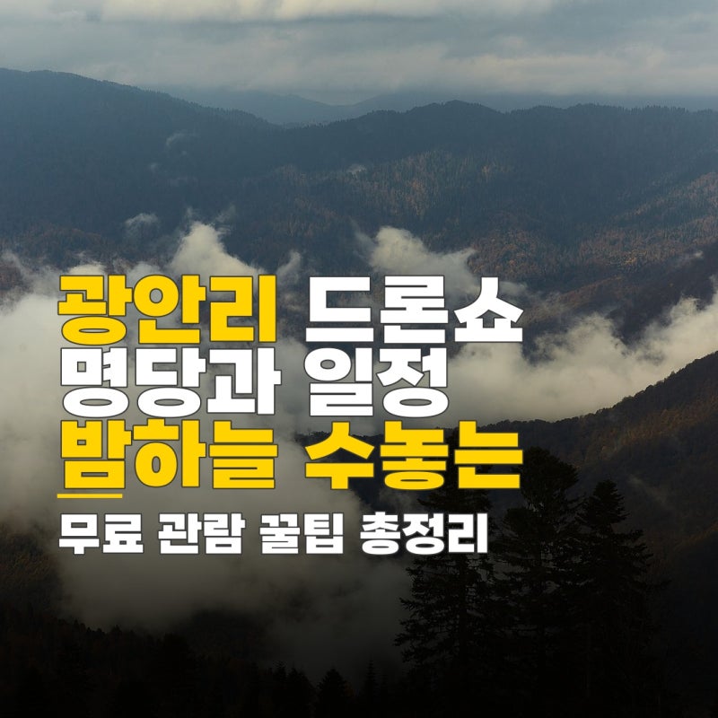 광안리 드론쇼 lck, 광안리 드론쇼 8월 9월 일정, 무료 관람 명당과 교통 정보