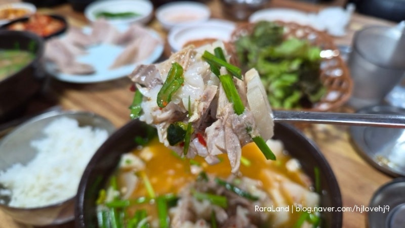[대구. 신송자 신마산식당] 최민식 배우가 극찬한 대구 국밥 맛집, 고기밥·따로국밥