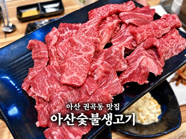 아산 권곡동 고기집 아산숯불생고기, 한우 소고기모듬 내돈내먹