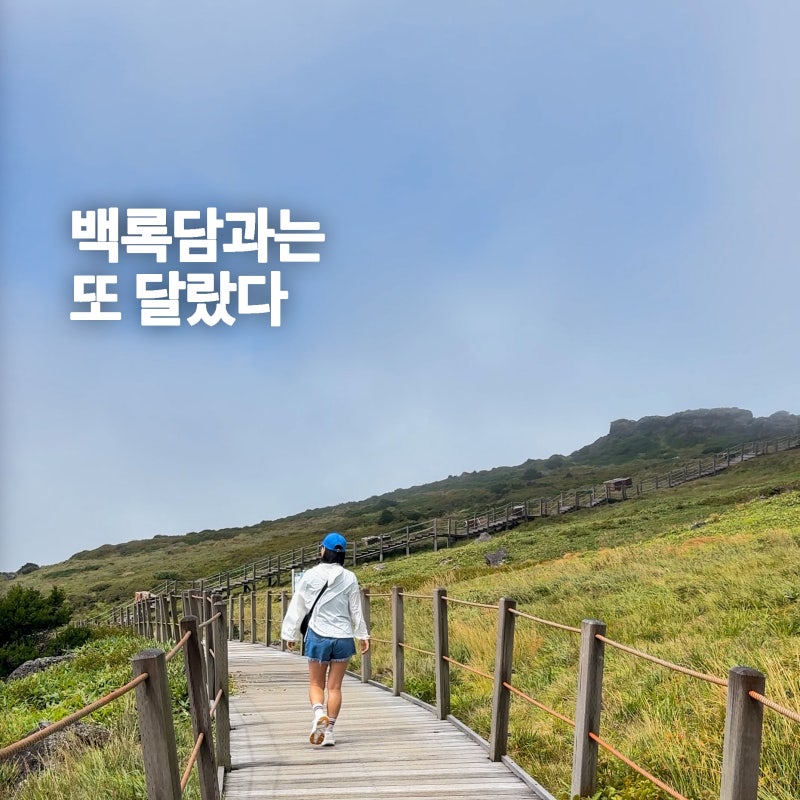 Hallasan Yeongsil Trail: Witseoreum, Baengnokdam – Why I Fell in Love Even After Two Visits