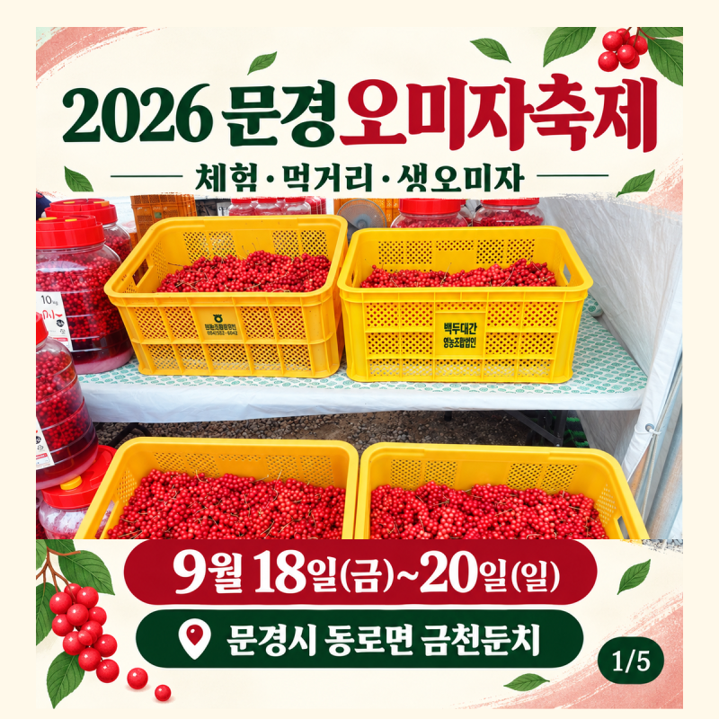 2026 문경오미자축제 체험·먹거리 11가지｜생오미자 구매 요령