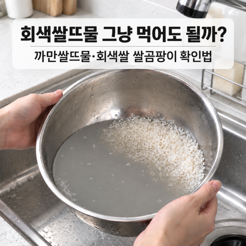 회색쌀뜨물 그냥 먹어도 될까? 까만쌀뜨물·회색쌀 쌀곰팡이 확인법
