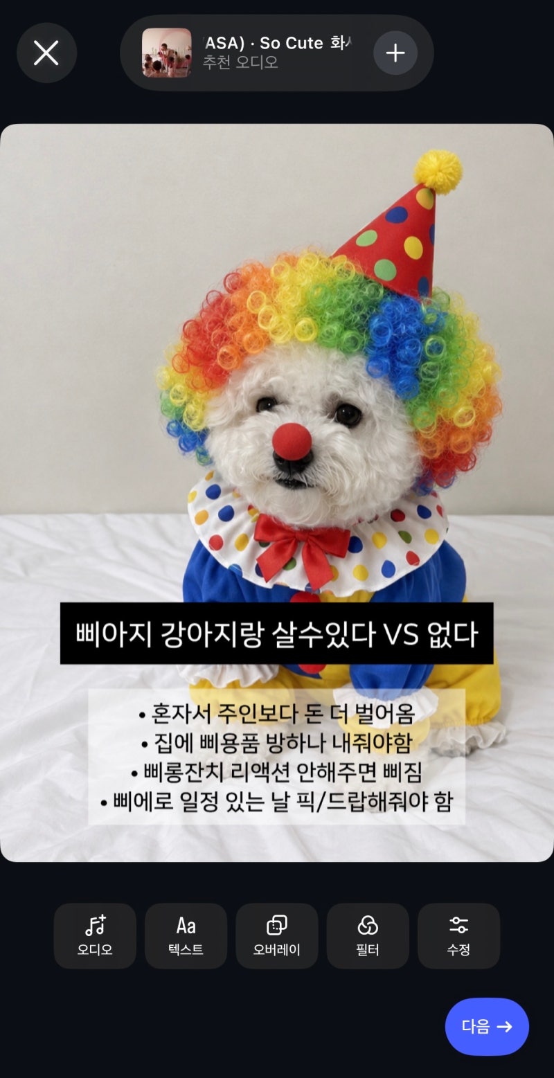 인스타 댓글 설문달기 하는 방법｜인스타 댓글 투표 이렇게 해보세요