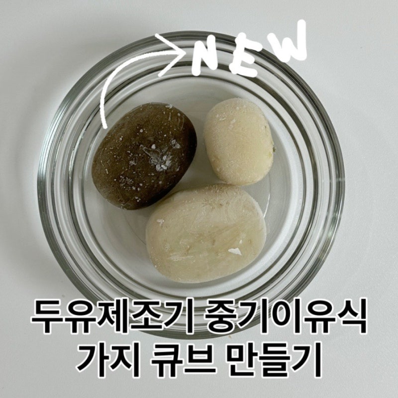 마이아두유제조기 중기이유식 가지 큐브 만들기