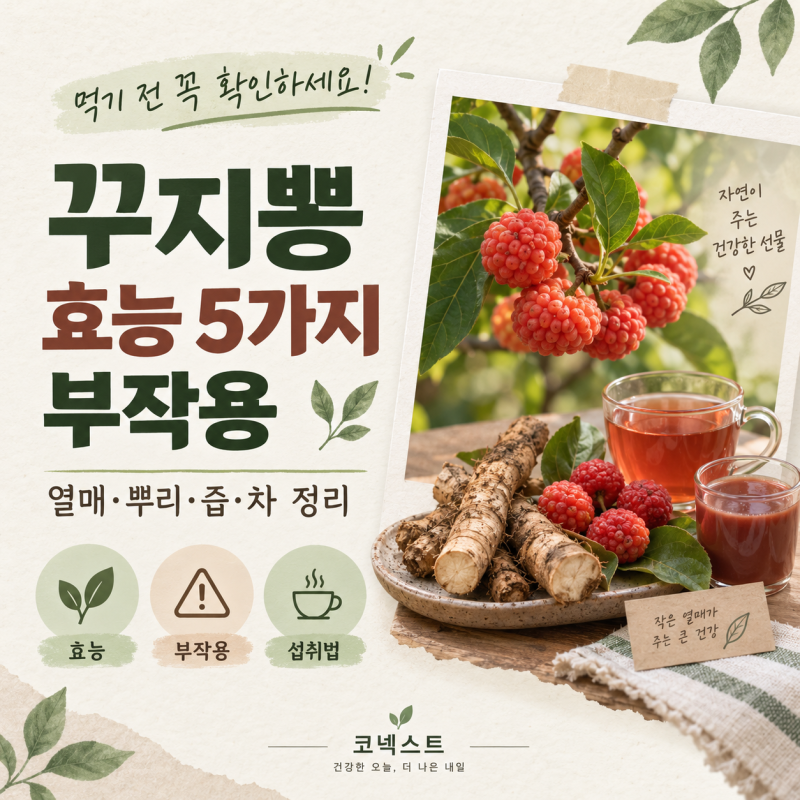 꾸지뽕 효능 5가지, 열매, 뿌리, 즙, 차와 부작용까지 정리