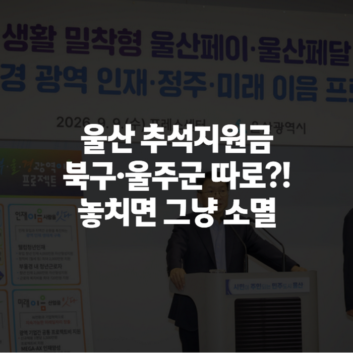 울산 추석 민생지원금 4차 신청방법·지급일 정리, 내 지역은 얼마