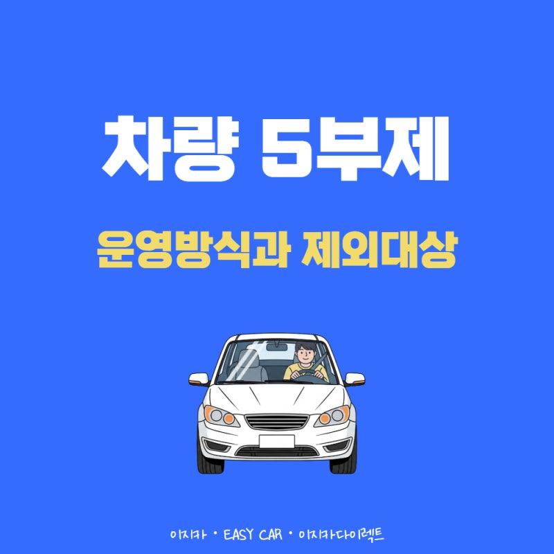 2026 차량 5부제 운영 방식과 적용 제외 대상 총정리