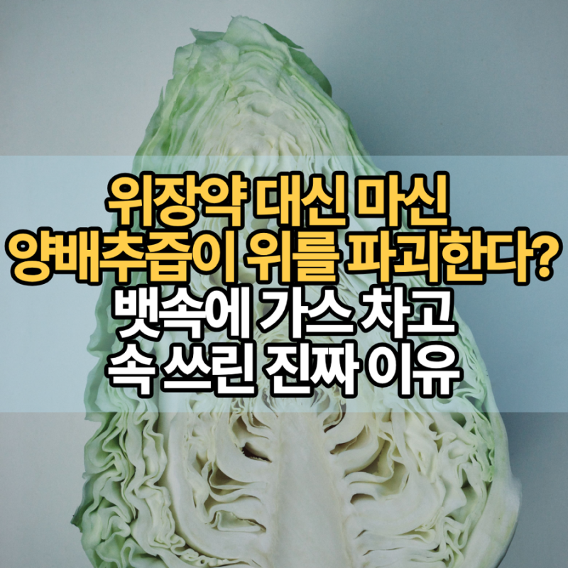 위장약 대신 마신 양배추즙이 위를 더 파괴한다? 뱃속에 가스 차고 속 쓰린 진짜 이유