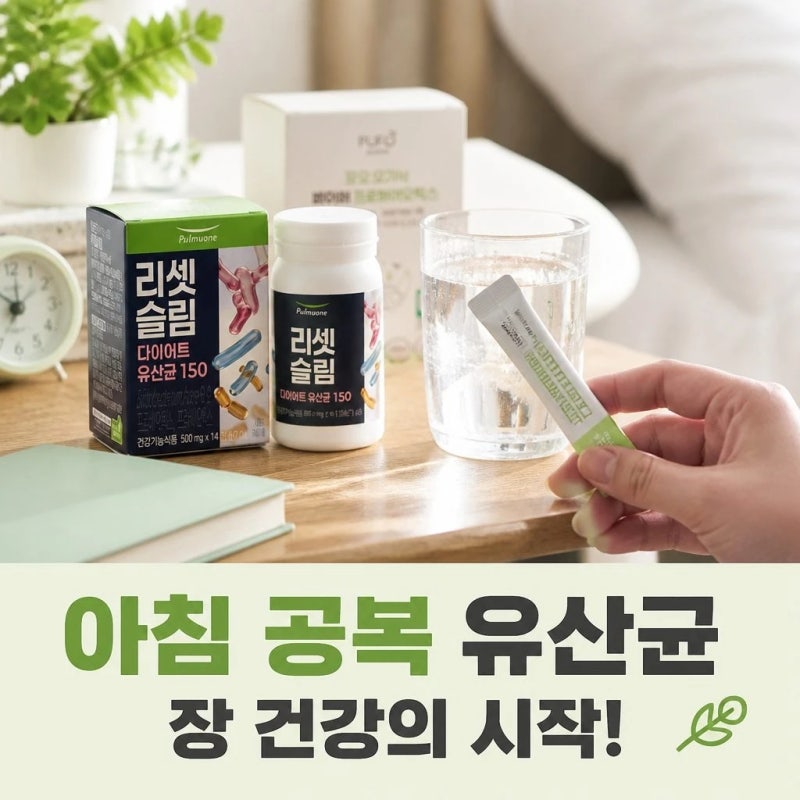프로바이오틱스 유산균 언제 먹어야 할까? 섭취 시간과 고르는 법