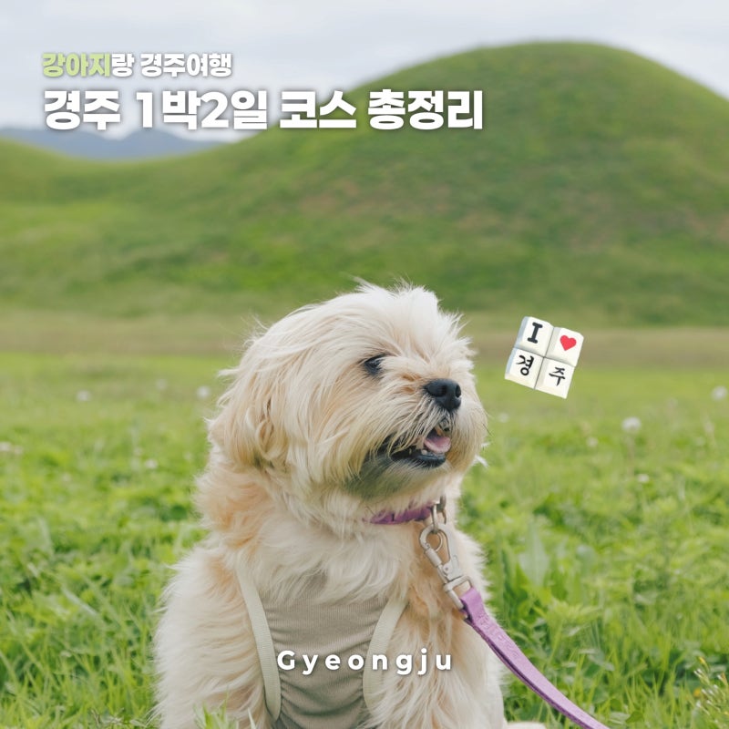 경주 애견동반 여행 1박2일 코스, 황리단길부터 월정교까지