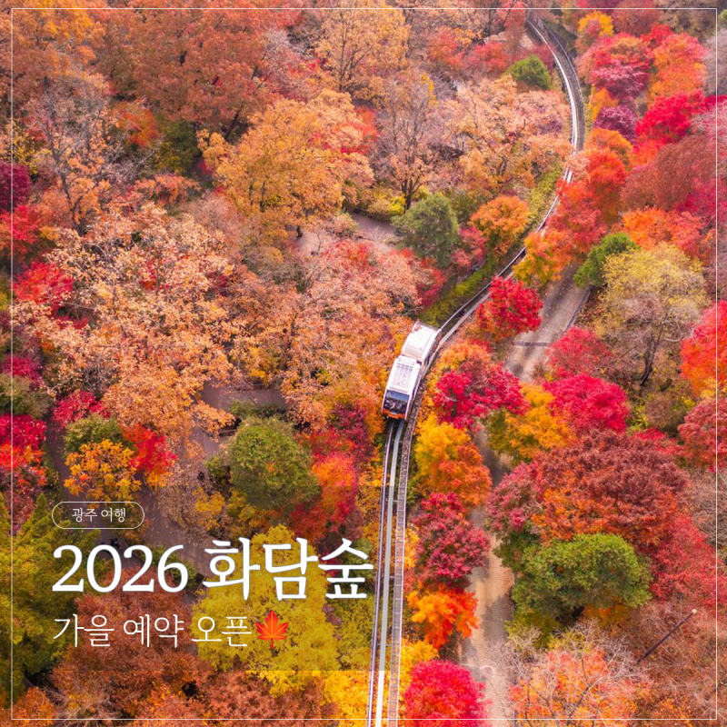 2026 화담숲 단풍 예약 총정리 | 가을 성수기 예매부터 모노레일·주차까지