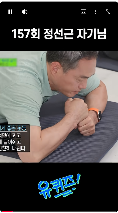 경추전만수면 베개 사용후기[코어셀베개]