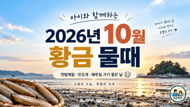 10월 갯벌체험 언제 갈까? 딱 좋은 황금물때 날짜 정리