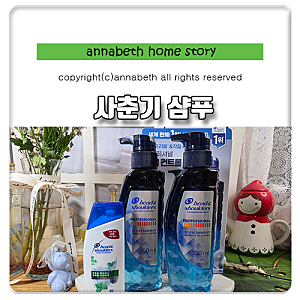 올리브영 사춘기샴푸 추천 헤드앤숄더 프로페셔널 안티댄드러프 오일컨트롤 후기