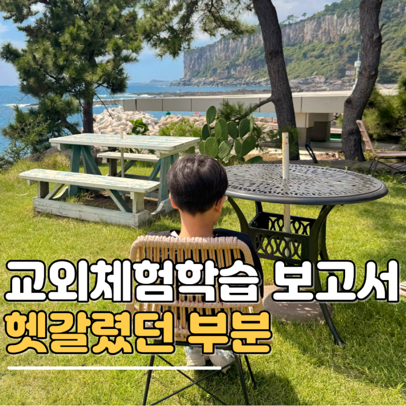 나이스 학부모서비스 교외체험학습 보고서, 신청서 다음 단계가 헷갈렸어요
