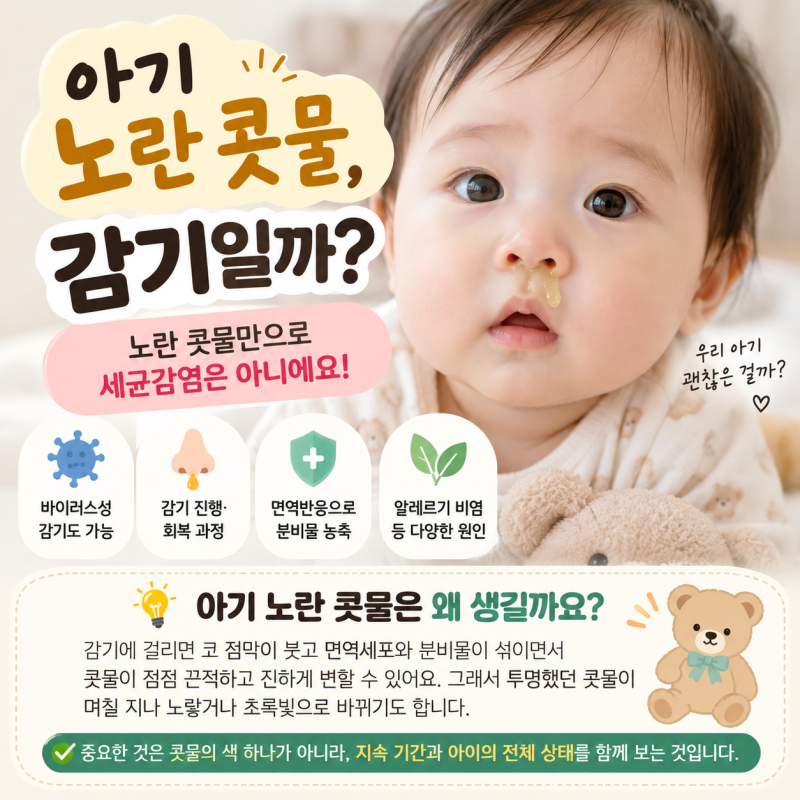 노란 콧물 나오면 감기일까? 아기 콧물색·축농증·병원 가야 할 때