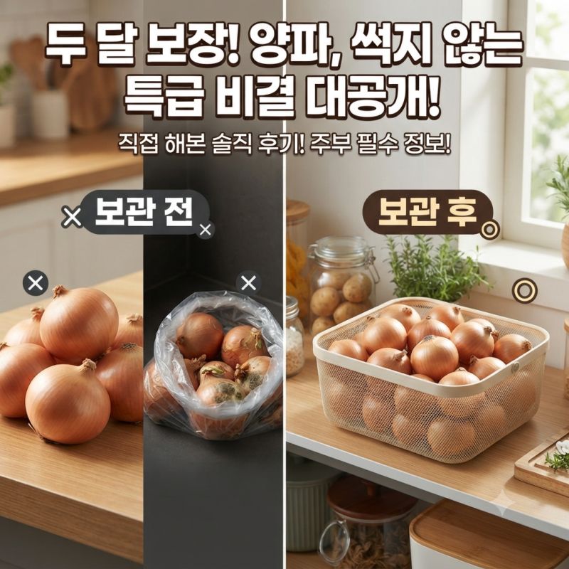 양파 썩지 않게 두 달 이상 싱싱하게 보관하는 손쉬운 팁