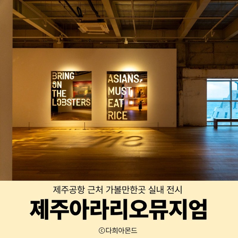제주공항 근처 가볼만한곳 실내 전시 제주 아라리오뮤지엄