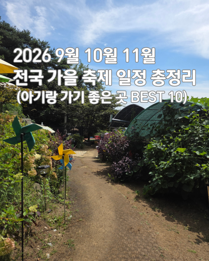 2026 9월 10월 11월 전국 가을 축제 일정 총정리 (아기랑 가기 좋은 곳 BEST 10)