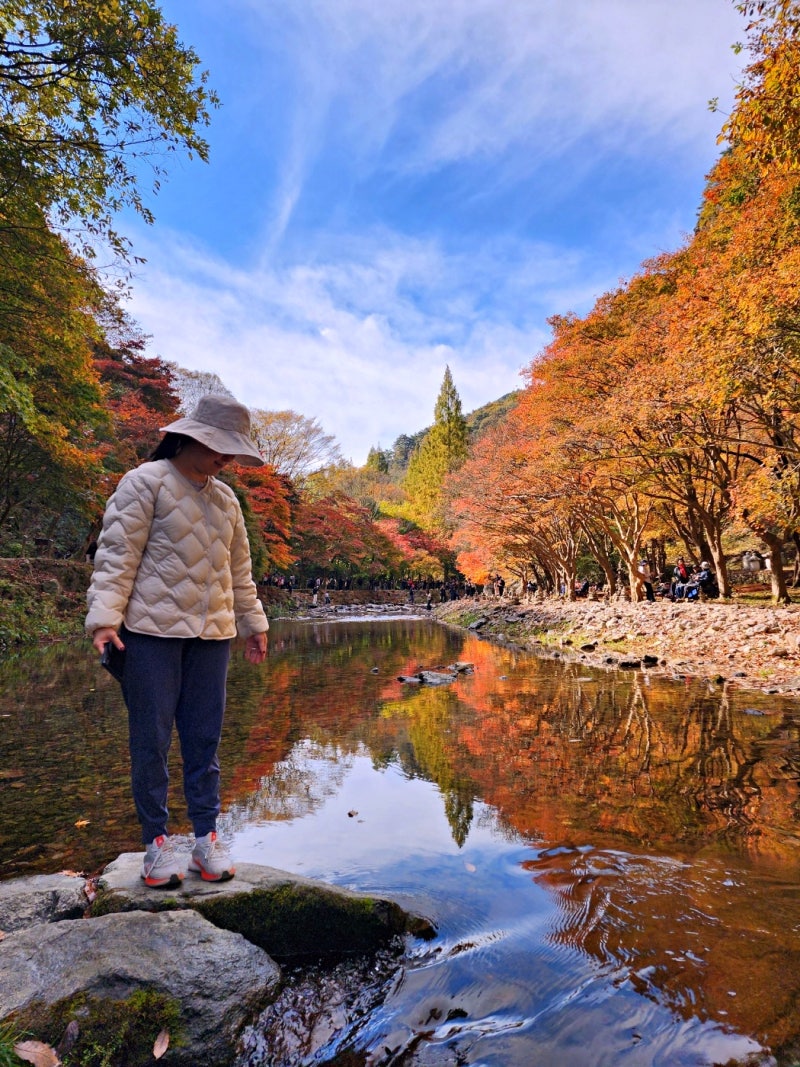 전라도 단풍명소 순창 강천산 장성 백양사 정읍 내장산 국립공원 3곳 미리 보기