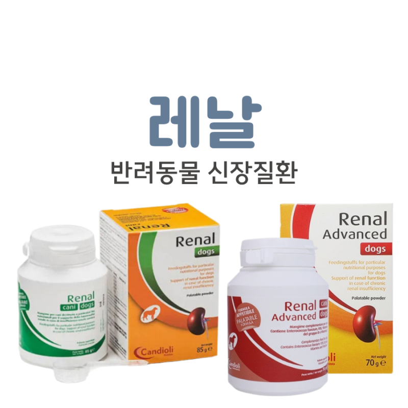 반려동물 신장병 보조제 레날 vs 레날어드밴스드 효능 비교
