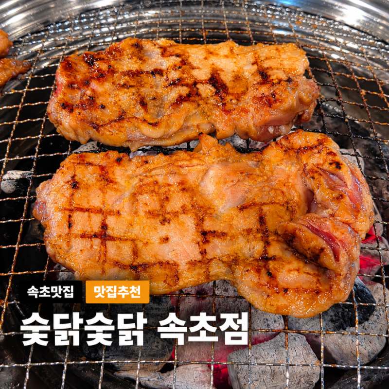 속초맛집 속초청초호맛집 조양동맛집 숯닭숯닭 솔직후기