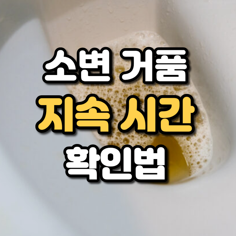 소변 거품 지속 시간 확인법 당뇨와 신장 질환 구별 기준