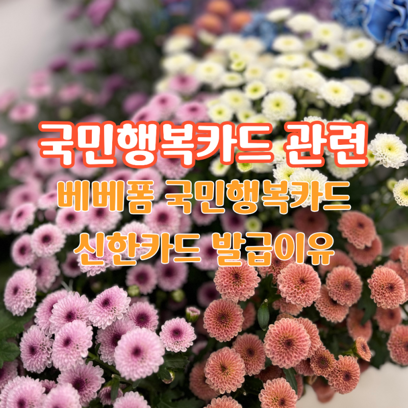 베베폼 국민행복카드 신한카드 발급이유 신세계상품권 발급방법