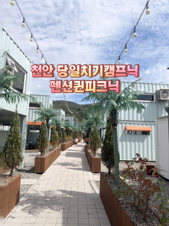 천안 외부음식가능 피크닉장소 펜션퀸피크닉 수영장·바베큐 완비 후기