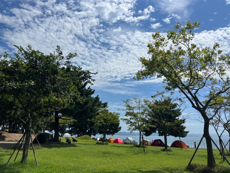 홍성 죽도 야영장 가는 길, 이용방법 및 매점 안내