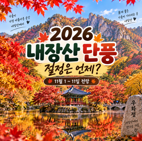 2026 내장산 단풍 언제 절정일까? 단풍시기부터 코스·주차까지