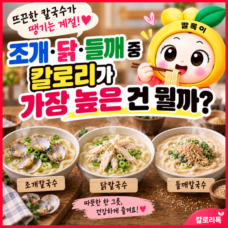 뜨끈한 칼국수가 땡기는 계절! 조개·닭·들깨 중 칼로리가 가장 높은 건 뭘까?