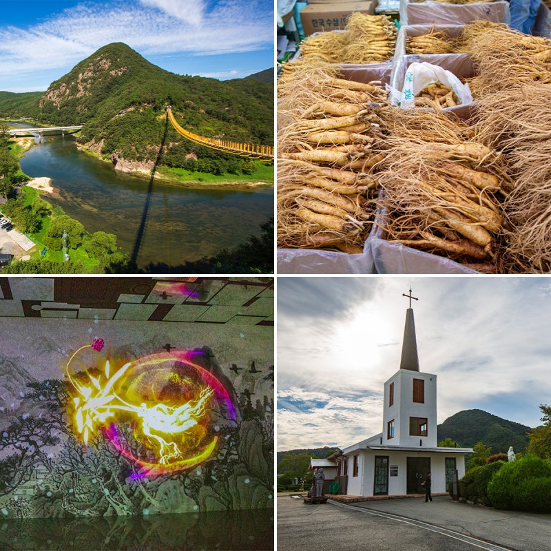 충남 금산 가볼만한곳 월영산 출렁다리 맛집 인삼시장 천주교 성지순례