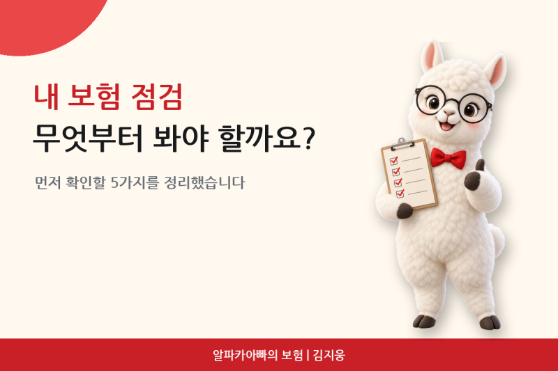 내 보험 점검, 무엇부터 봐야 할까요? 먼저 확인할 5가지