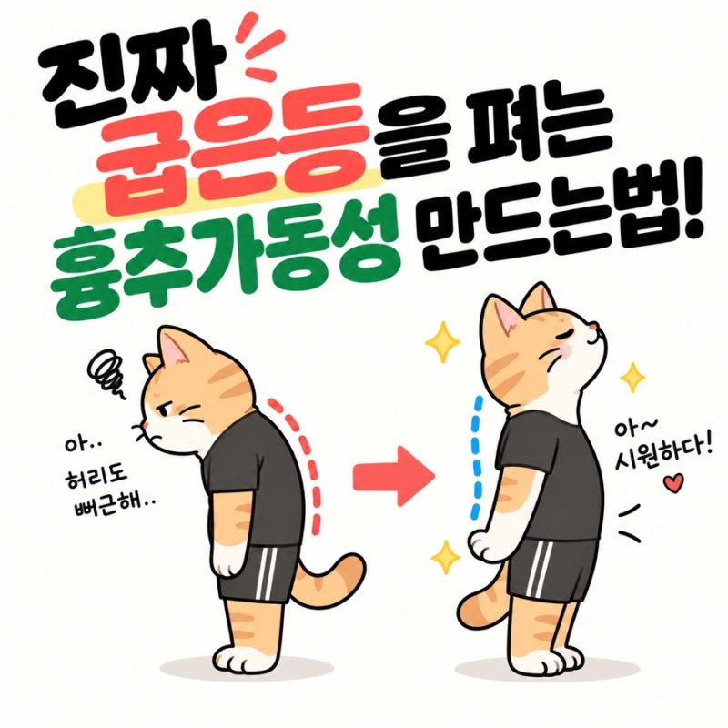 무작정 폼롤러 흉추 폼롤러 스트레칭만 따라 하지 마세요: 흉추 가동성의 진짜 의미