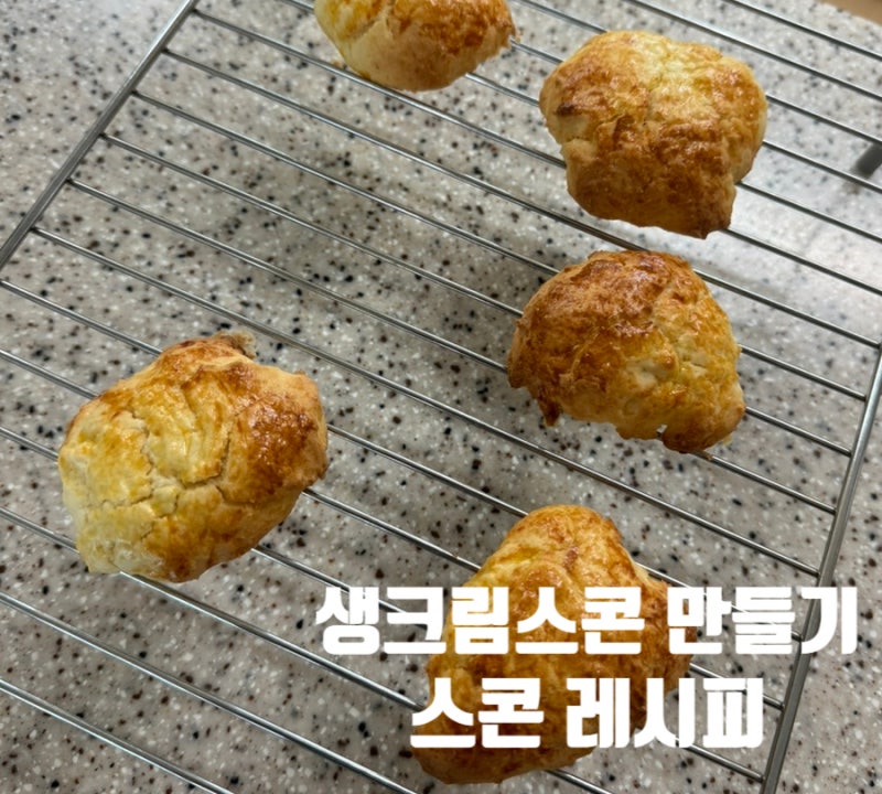 초보 베이킹 노버터 생크림과 박력분으로 부드러운 스콘 만들기 오븐 시간 추천