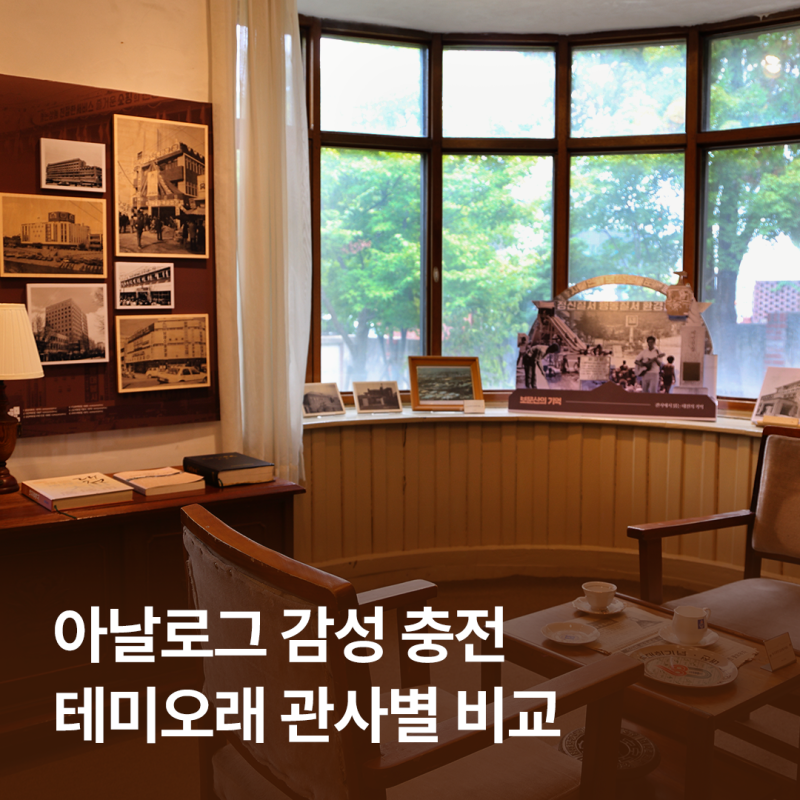 대전 실내 가볼 만한 곳, 감성 가득 이색 대전 데이트 코스 테미오래