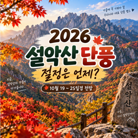 2026 설악산 단풍 언제 절정일까? 단풍시기부터 등산코스·주차까지