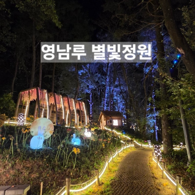 밀양 가볼만한곳 "영남루 별빛정원"무료개방기간 "불꽃축제" 주차정보