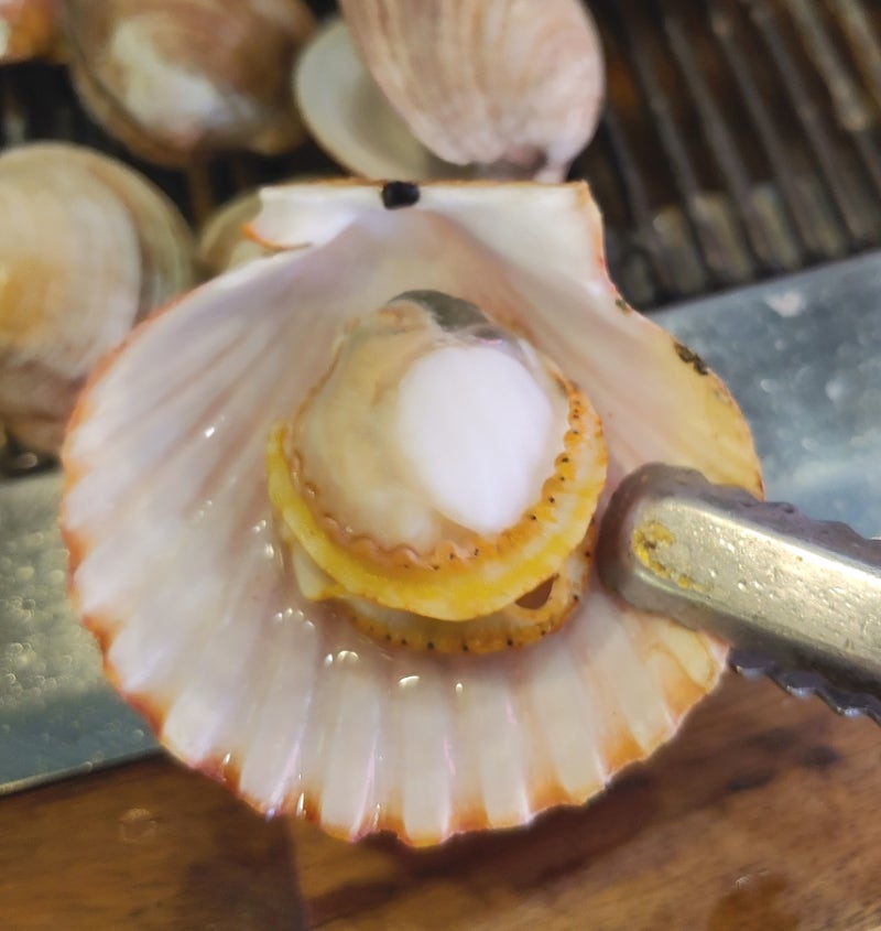 대천 해수욕장 조개 맛집 블루리본 선정 조개까는남자